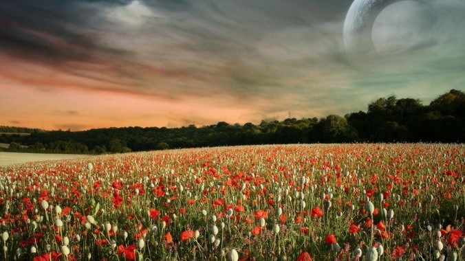 李梦被女篮主教练宫鲁鸣官宣弃用，争议很大，怎么看待？